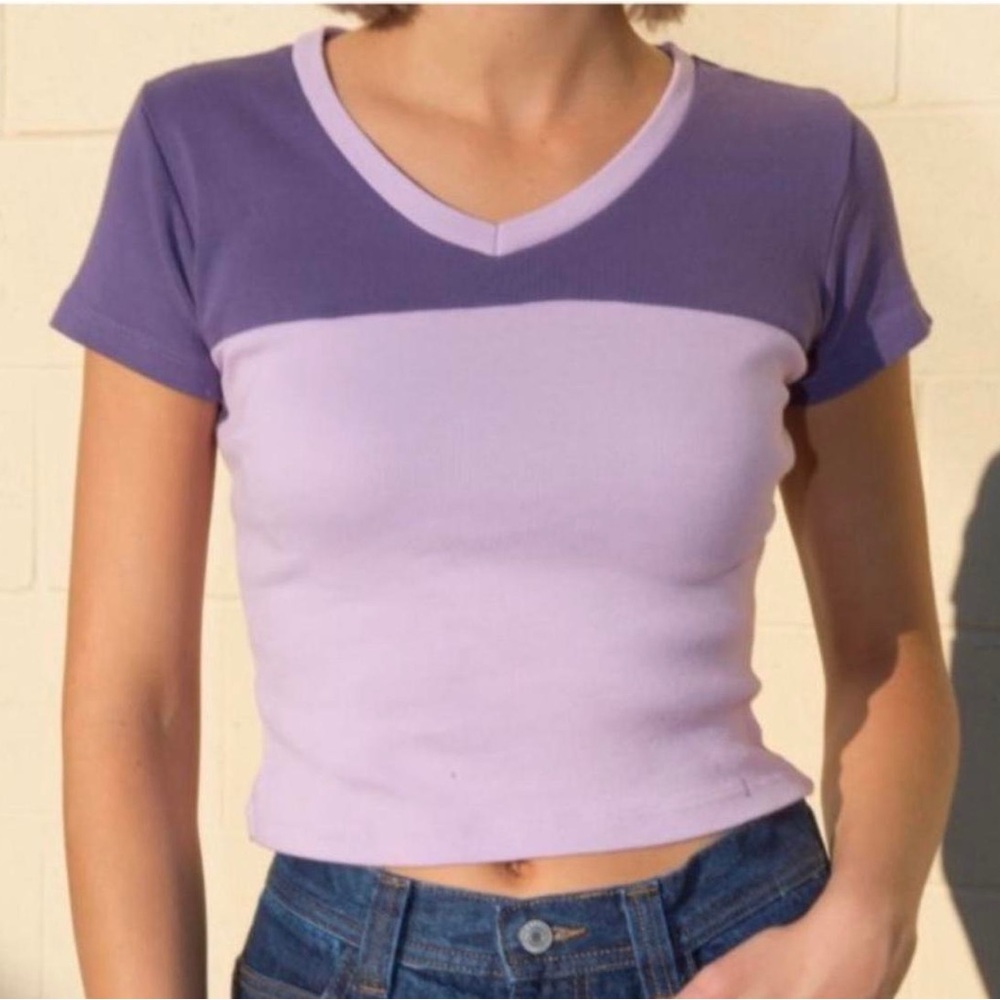 brandy melville purple cotton retro color block fitted crop tee y2k t-shirt os